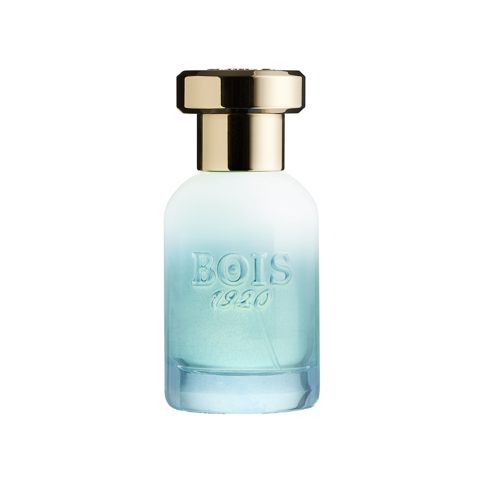 Bois 1920 Marasma Extrait