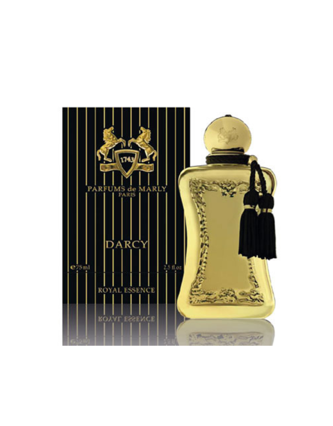 Darcy Edp