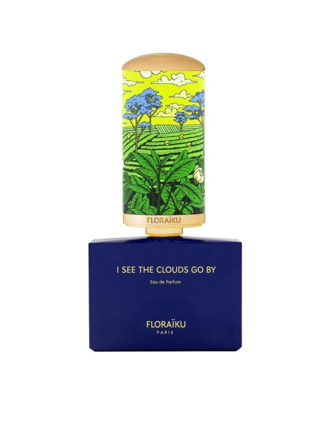 I see the clouds go by EDP