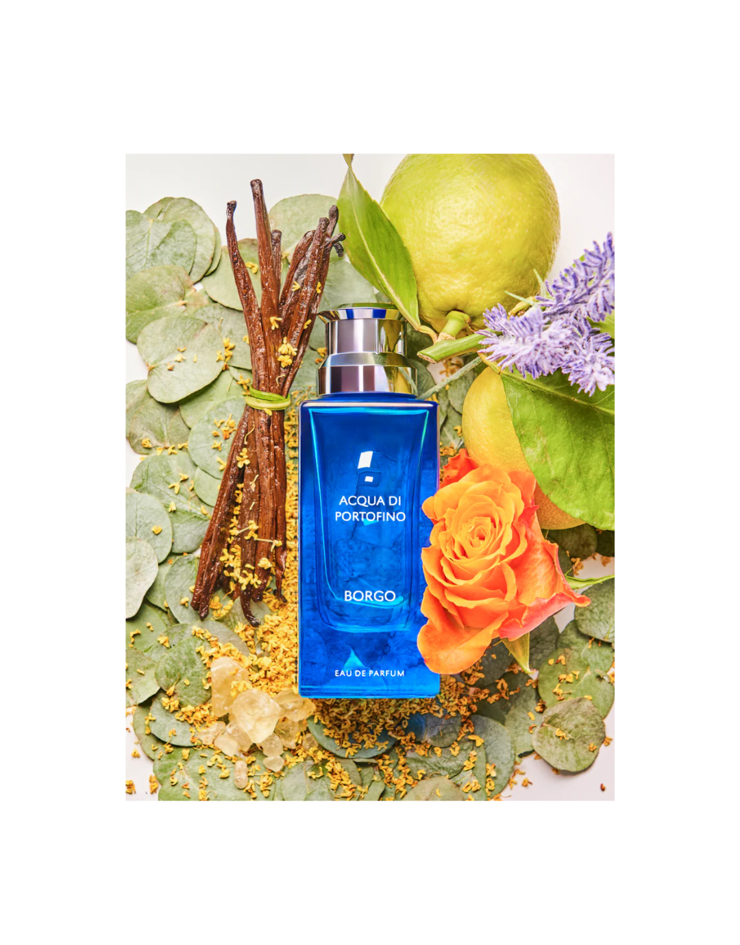 Borgo Eau De Parfum